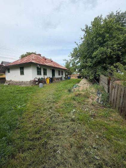 Teren de 2600 mp, în Șerbăuți
