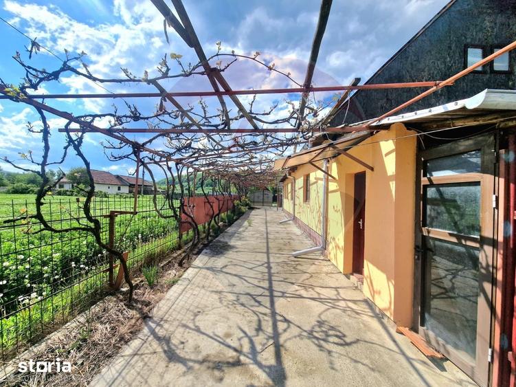 Casă cu 3 camere cu Teren 2254 Mp în Mănăstirea Cașin