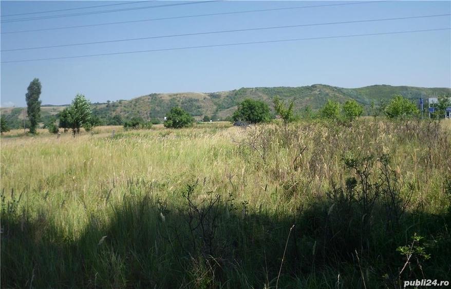 Teren de 2400 mp, în Aninoasa