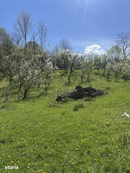 Spațiu comercial, de 2,035 mp, în Provița de Jos