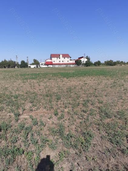 Teren de 4000 mp, în Căldărușeanca