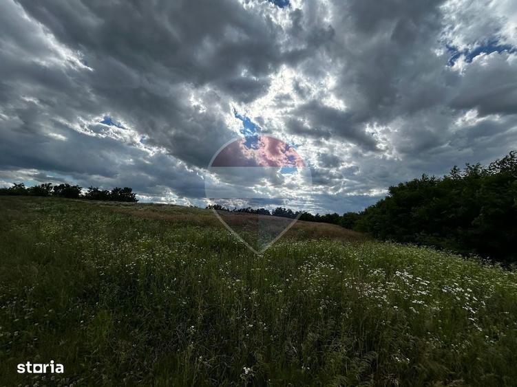 Teren intravilan de vanzare in Satulung - 2