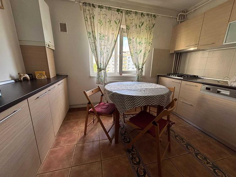 Apartament 2 camere in Tei -Lizeanu, Strada Deleni, Centrala termica, Spatios, decomandat - 7