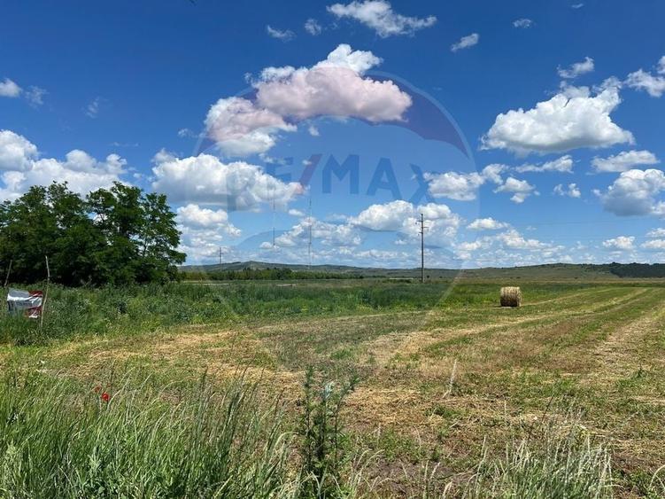 Teren Construcții intravilan de 2900 mp, în Jucu de Sus