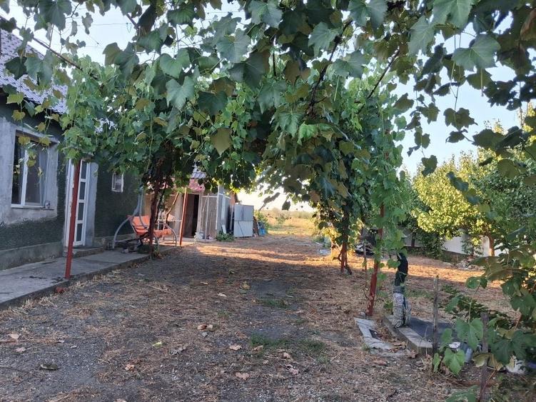 Casă cu 2 camere în Central