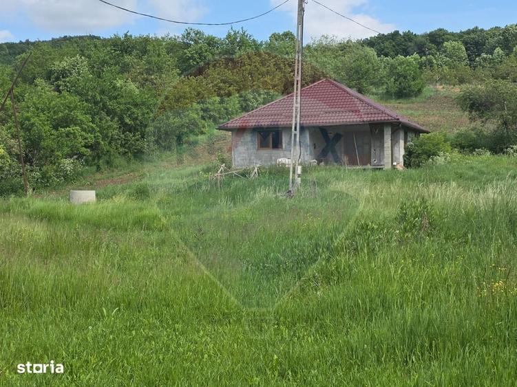 Casă cu 3 camere în Cornești