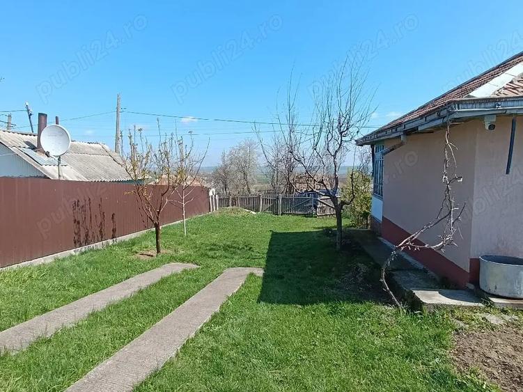 Casă cu Teren 10000 Mp în Ionășeni (Trușești)