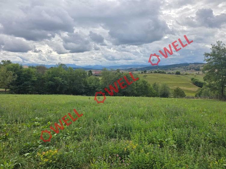 Teren Construcții intravilan de 6067 mp, în Barcani