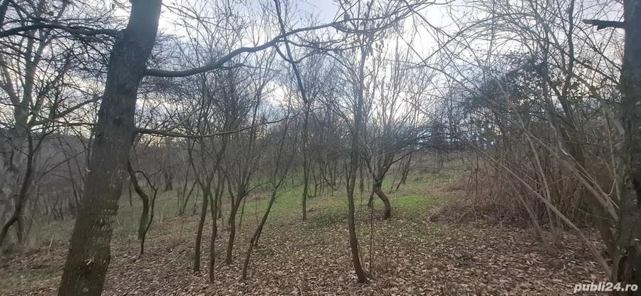 Teren de 4900 mp, în Central