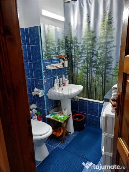 Apartament cu 2 camere decomandat în Lipovei