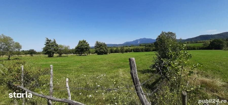 Teren de 9350 mp, în Bran