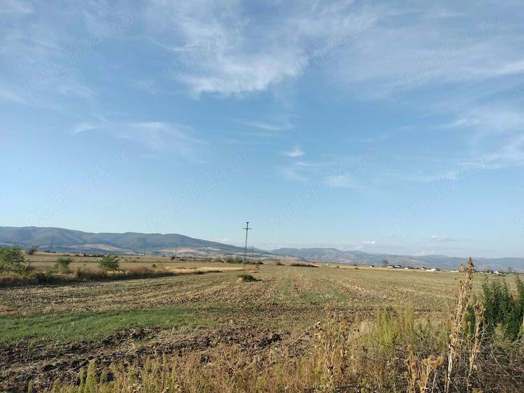 Teren de 8500 mp, în Central