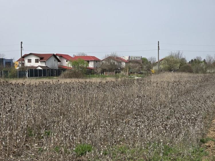 Teren Construcții intravilan de 4783 mp, în Ciolpani
