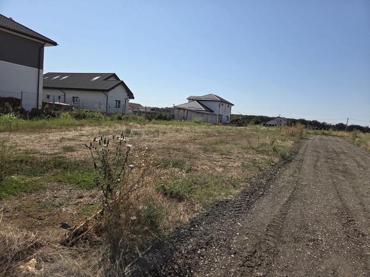Teren de 450 mp, în Brănești