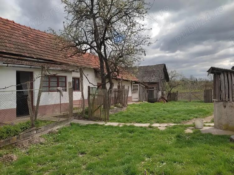 Casă cu 2 camere în Cetariu