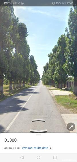 Teren de 6250 mp, în Găneasa