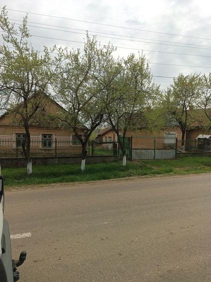 Casă cu 2 camere în Albiș