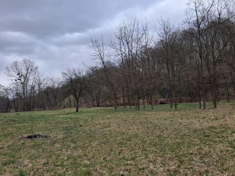 Teren de 5500 mp, în Făurești