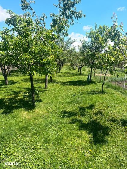 Casă cu 7 camere cu Teren 1783 Mp în Hărman