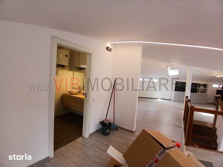 Loft spatios la Cismigiu - 4