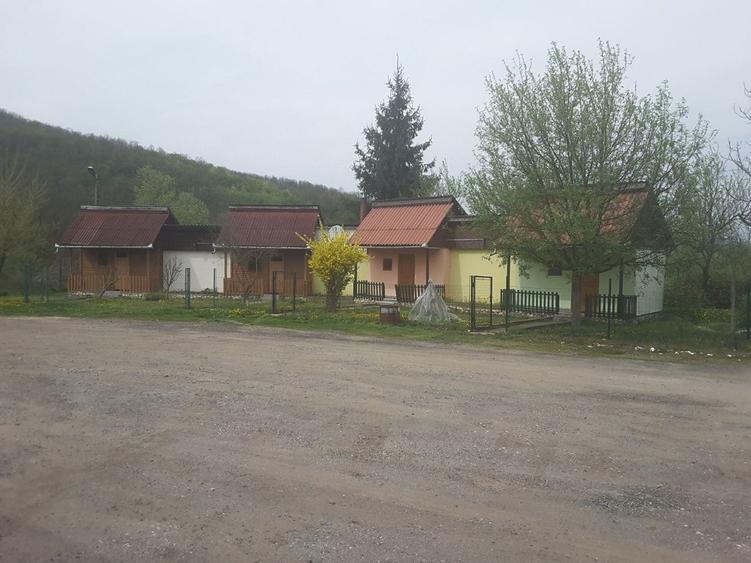 Pensiune in Petris - ID : RH-9711-property - 4
