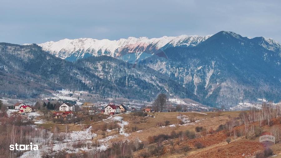 Teren de 4500 mp, în Central