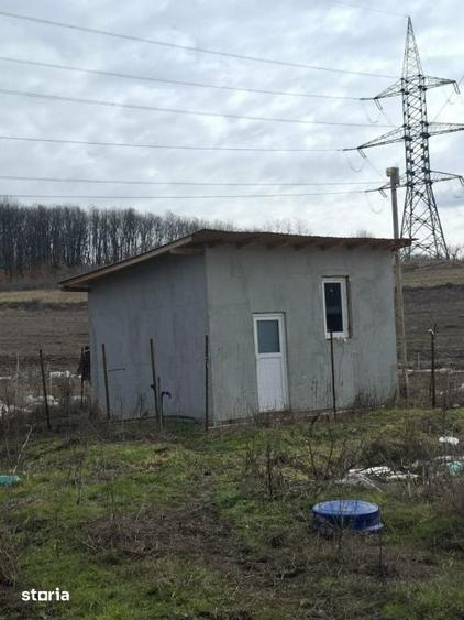 Teren de 5000 mp, în Poiana Mare