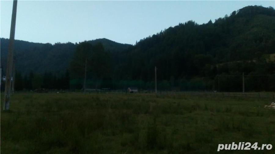 Teren de 2000 mp, în Rucăr