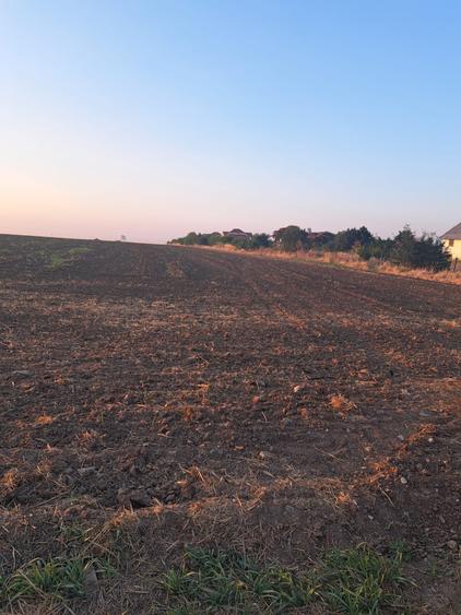 Teren Construcții intravilan de 1000 mp, în Agigea