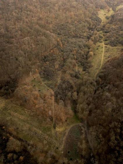 Teren Construcții intravilan de 1809 mp, în Săldăbagiu de Munte