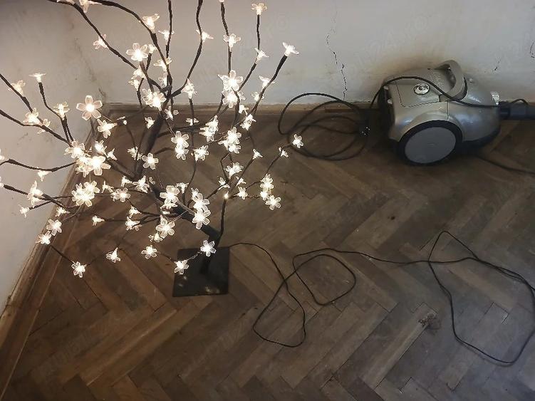 Casă cu Teren 2000 Mp în Cerchezu