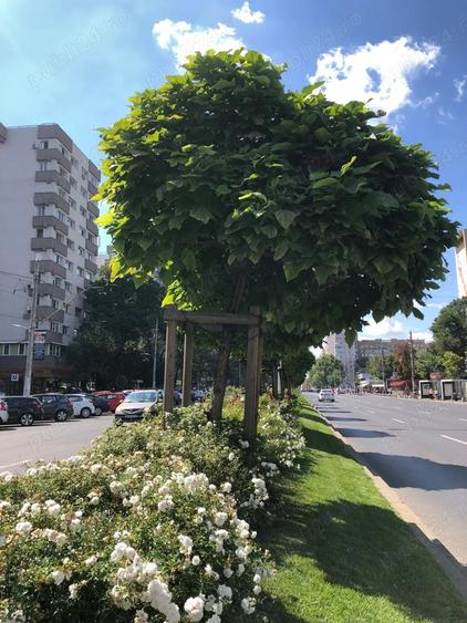 Apartament cu 3 camere semidecomandat în Gorjului