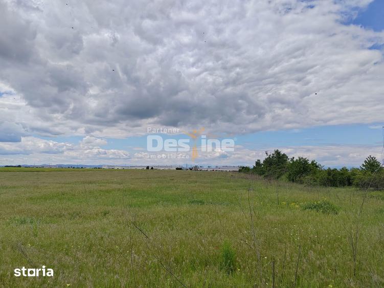 Teren de 114000 mp, în Ariceștii Rahtivani