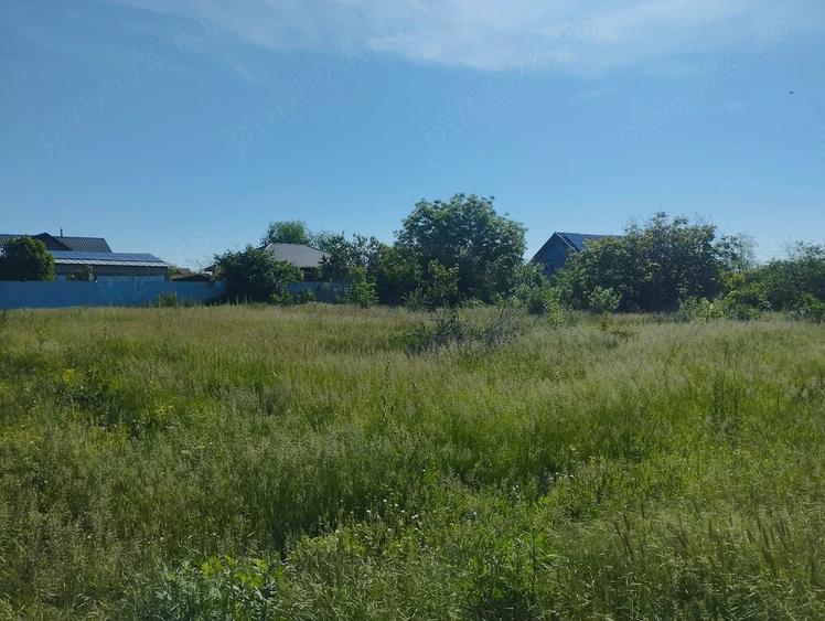 Vand teren intravilan 2077 mp Focsanei Buzau - 2