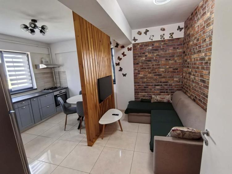 Apartament de inchiriat, zona pepinierei - 4