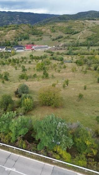 Teren de 8043 mp, în Berevoești