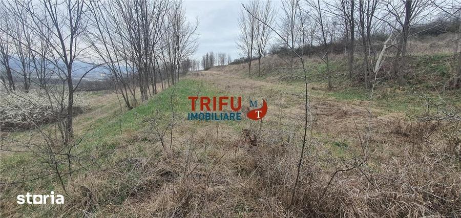 Teren de 5300 mp, în Ciugud