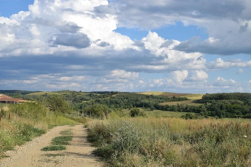 Teren de 1500 mp, în Uileacu de Munte