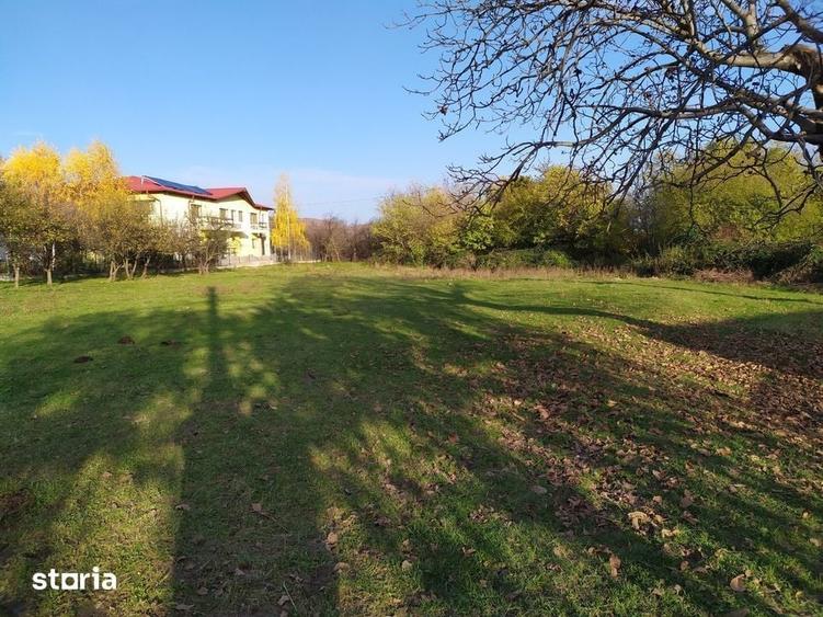 Teren de 1560 mp, în Poiana