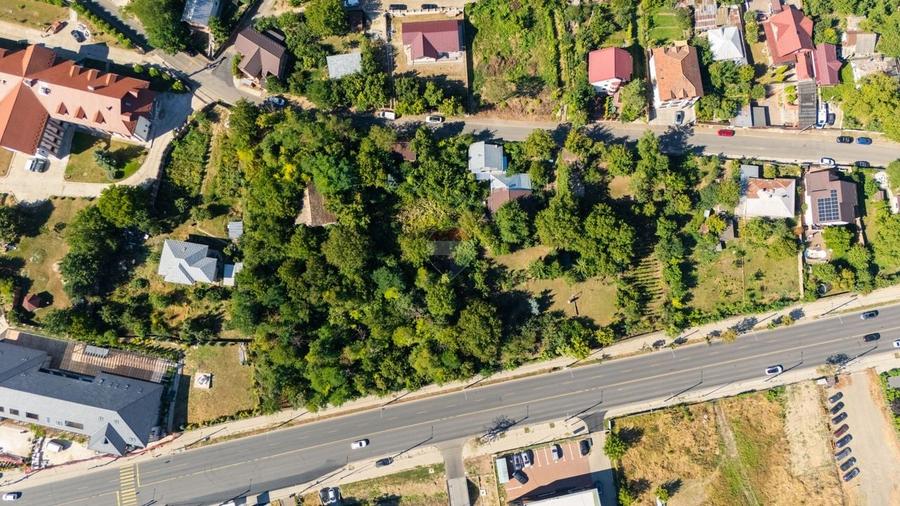 Teren Construcții intravilan de 6949 mp, în Bucium