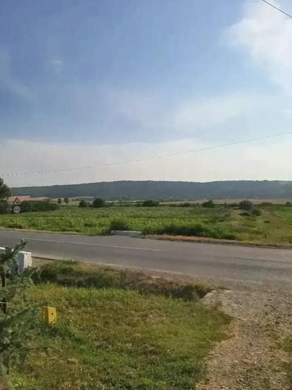 Teren de 5000 mp, în Ștefan cel Mare
