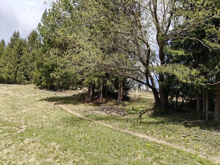 Teren Construcții intravilan de 1500 mp, în Beliș