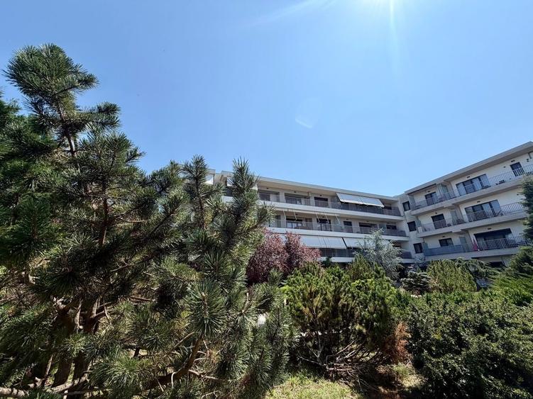 Apartament cu 3 camere, mobilat în Iancu Nicolae