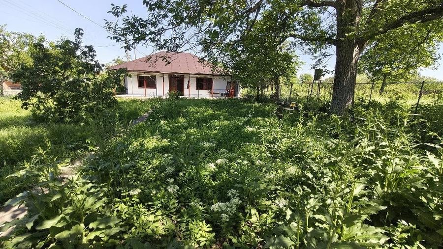 Casă cu Teren 630 Mp în Lipia