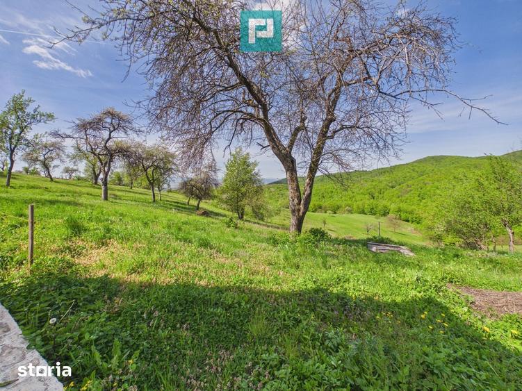 Casă cu 3 camere cu Teren 2000 Mp în Central