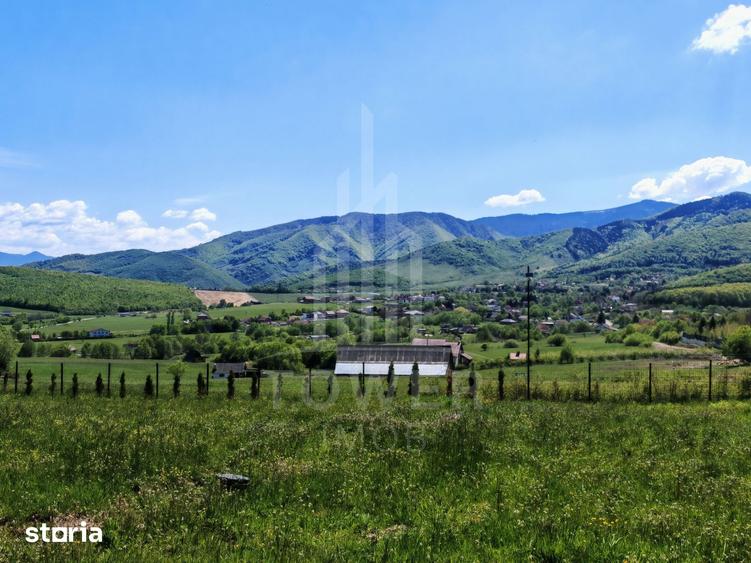 Casă cu 5 camere cu Piscina în Sadu