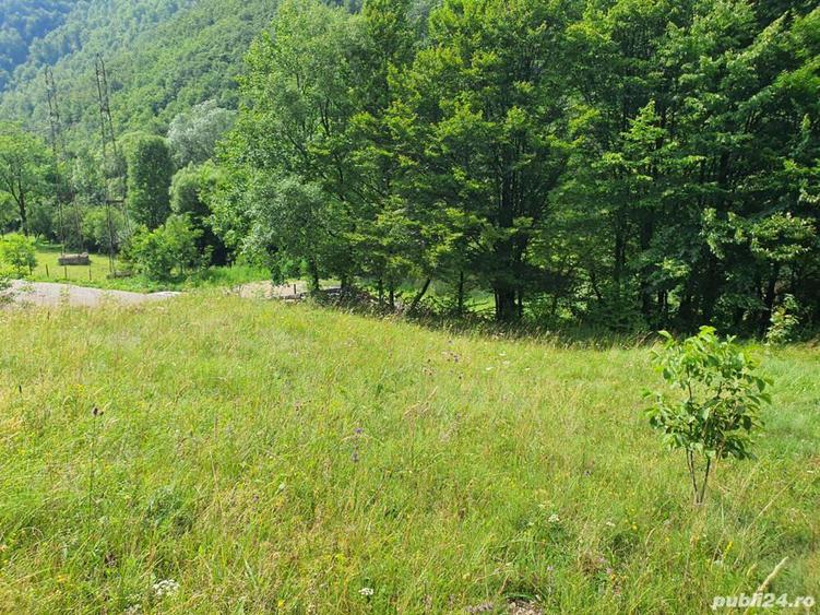 Teren de 1658 mp, în Est