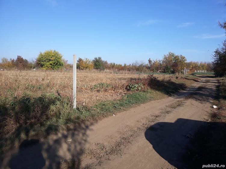 Teren de 150000 mp, în Nord