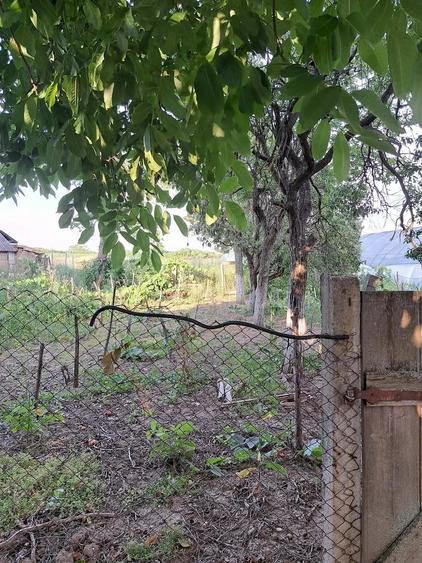 Casă cu 3 camere cu Teren 2700 Mp în Cenaloș