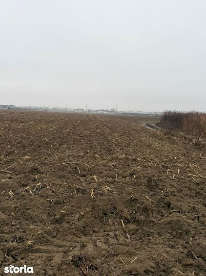 Teren de 1500 mp, în Hemeiuș
